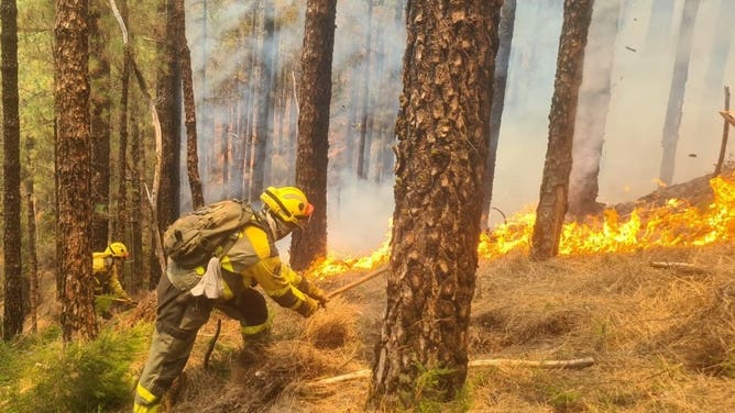 Wildfires on Tenerife, Canary Islands, Spain. August 17, 2023.