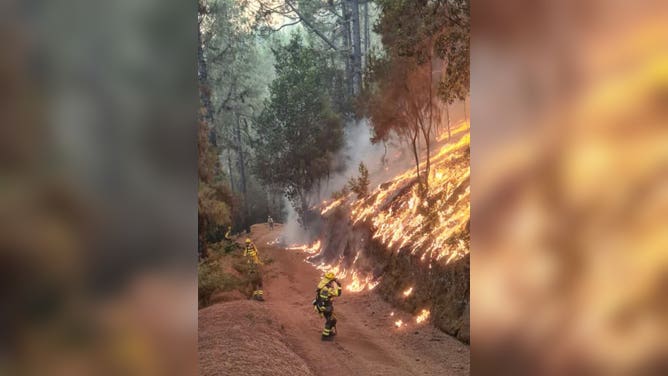 Wildfires on Tenerife, Canary Islands, Spain. August 17, 2023.