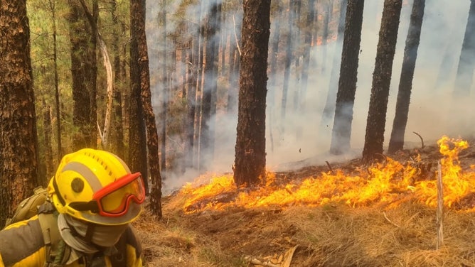 Wildfires on Tenerife, Canary Islands, Spain. August 17, 2023.