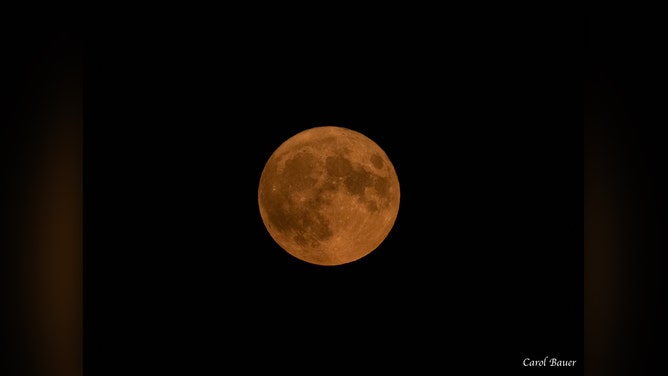 Carol Bauer shot this photo of August’s second full moon rising over Graceville, Minnesota, on Wednesday, August 30, 2023.