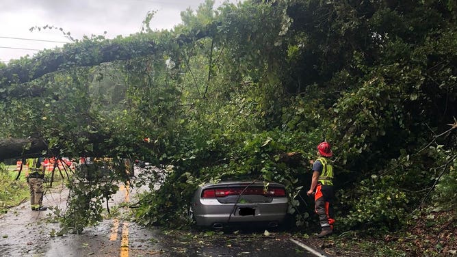 In Charleston, South Carolina, a downed tree at Riverland Dr. & George Griffith Blvd. has closed the roadway in both directions. The driver of the car is okay.