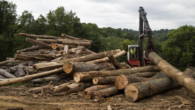 A land loader moves logs during a tree harvest in Moundsville, West Virginia, U.S., on Thursday, Aug. 27, 2020. Lumber reached an all-time high Friday and then fell by the most on record Monday. Photographer: Ty Wright/Bloomberg