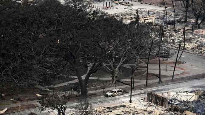An aerial image shows the historic Banyan tree surrounded by burned cars in Lahaina in the aftermath of wildfires in western Maui in Lahaina, Hawaii, on August 10, 2023. At least 36 people have died after a fast-moving wildfire turned Lahaina to ashes, officials said August 9, as visitors asked to leave the island of Maui found themselves stranded at the airport. The fires began burning early August 8, scorching thousands of acres and putting homes, businesses and 35,000 lives at risk on Maui, the Hawaii Emergency Management Agency said in a statement. (Photo by Patrick T. Fallon / AFP) (Photo by PATRICK T. FALLON/AFP via Getty Images)
