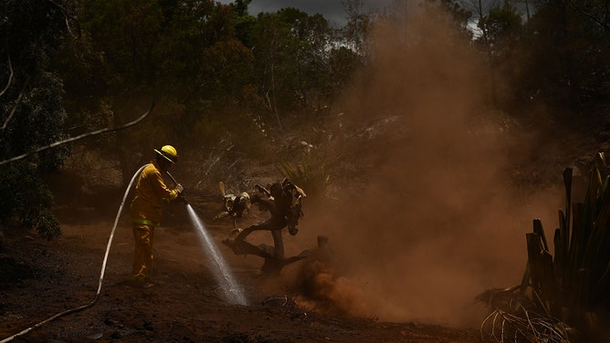 A Maui County firefighter uses a hose line to extinguish a fire near homes during the upcountry Maui wildfires in Kula