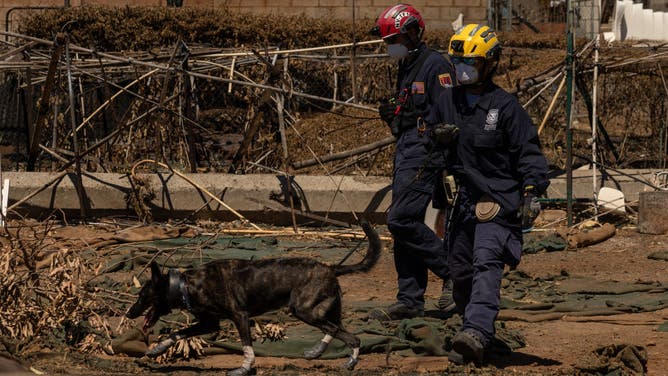Search and recovery team members work with a search dog as they check charred buildings and cars in the aftermath of the Maui wildfires in Lahaina, Hawaii, on August 18, 2023.