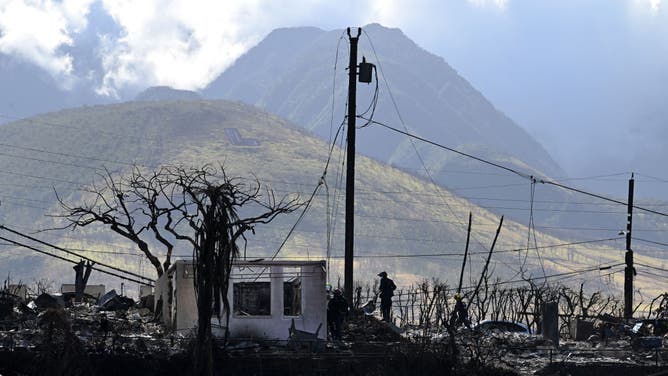 Search and Rescue members conduct operations in fire damaged areas on Friday August 18, 2023 in Lahania, HI.