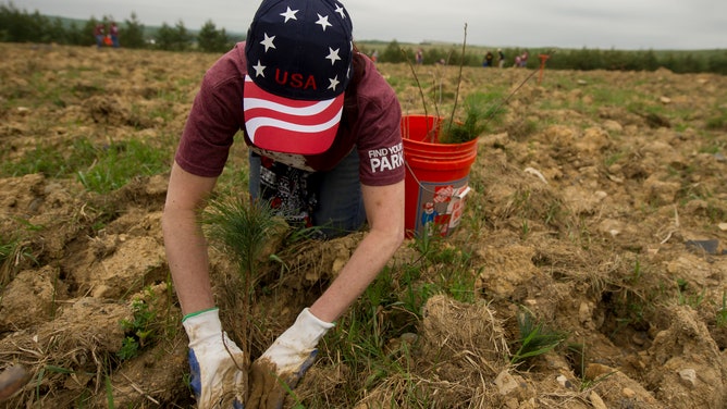 SHANKSVILLE, PA - May 20: Kim Moose of McKees Rocks, PA plants a white pine on the 6th consecutive year ,volunteers plant trees in a field at the Flight 93 National Memorial as part of a re-forestation initiative. The volunteers added11,600 new seedlings across 17 acres of reclaimed mining ground on May 19, 20, 2017 in Shanksville, Pennsylvania. (Photo by Jeff Swensen for The Washington Post via Getty Images)