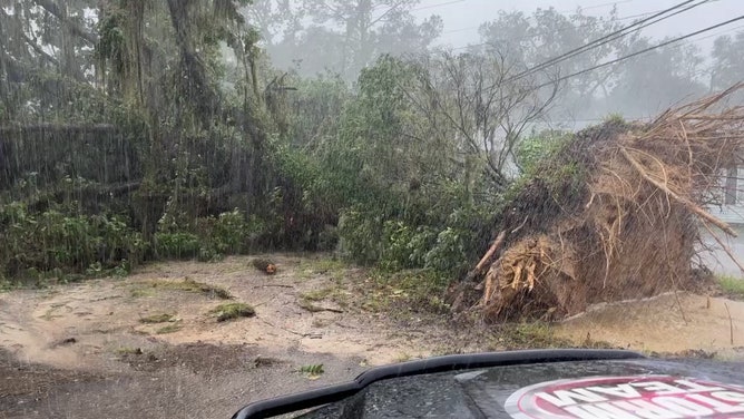 Damages in Valdosta, Georgia from Hurricane Idalia on August 30, 2023.