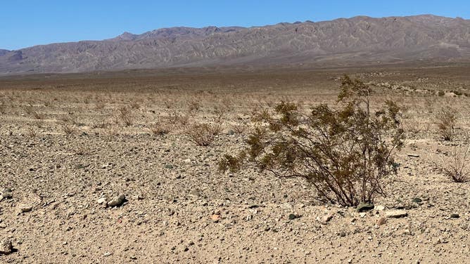 The view inside Death Valley National Park in August, the nation's hottest, driest park located in California and Nevada. (Image: Robert Ray/FOX Weather)