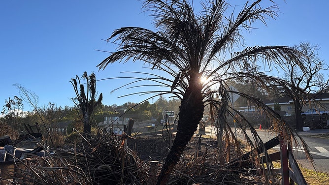 Of the three fires that burned, officials say the Kula Fire in Upcountry Maui destroyed over 500 structures and charred nearly 700 acres.