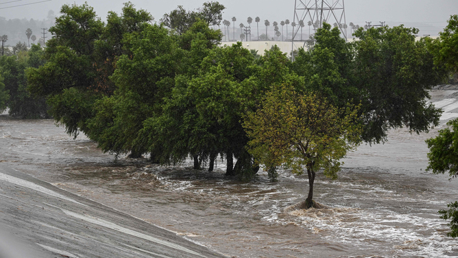 The Los Angeles River swells with rushing water near Griffith Park in Los Angeles, California on August 20, 2023. Heavy rains lashed California as Tropical Storm Hilary raced in from Mexico, bringing warnings of potentially life-threatening flooding in the typically arid southwestern United States.