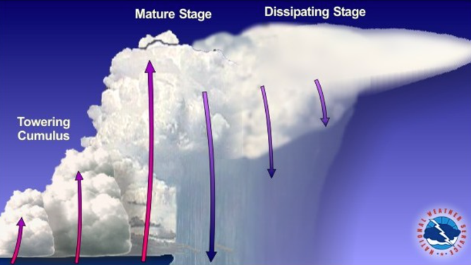 On the left, pink arrows indicate an updraft that helps form a towering cumulus cloud. In the middle section of the graphic shows the Mature Stage, in which purple arrows pointing downward show a thunderstorm cell dropping rainfall. The last section of the graphic shows the Dissipating Stage, in which the cumulus cloud is pushed away by upper level winds.
