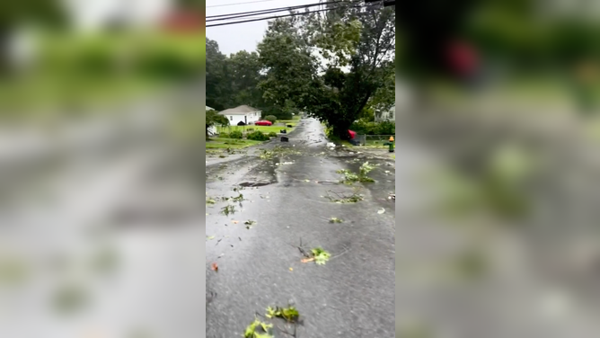 Storm damage in North Providence, Rhode Island. August 18, 2023.