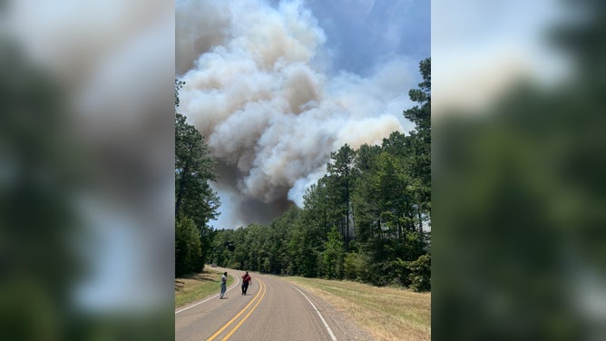 Scenes from the Snowhill Fire in Sam Houston National Forest in Texas.