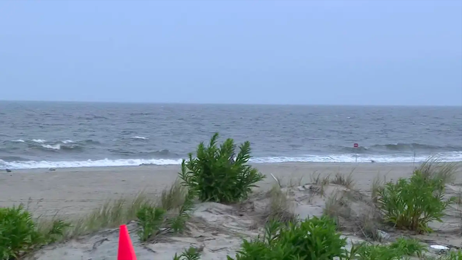 The incident isn't the first of its kind to happen in New York this summer. Last month, there were three shark attacks in just two days on Long Island.