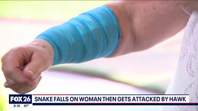 A Texas woman said she was attacked by a snake that "fell from the sky" and was then attacked by a hawk.