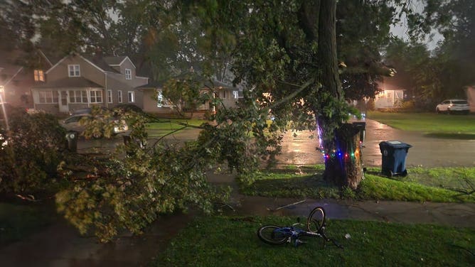 Storm damage in Redford Charter Twp