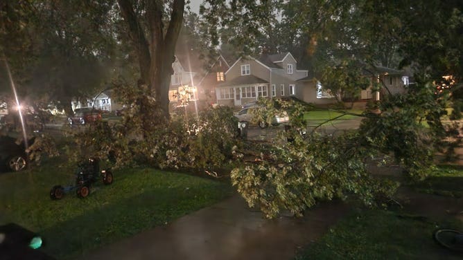 Storm damage in Redford Charter Twp