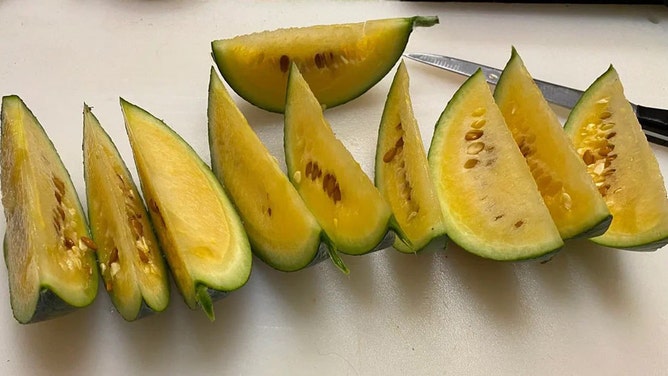 Antarctica gets ‘taste of summer’ as watermelons bloom in coldest place ...