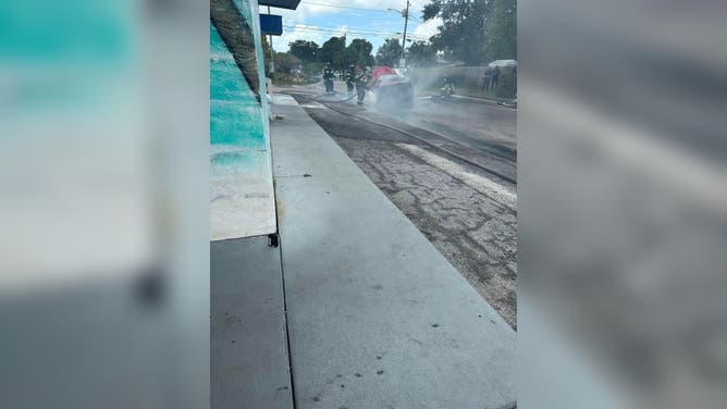 Palm Harbor Fire Rescue