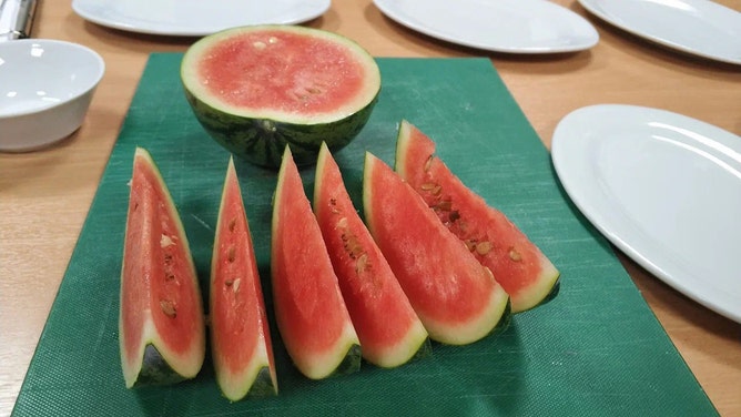 Scientists of the 68th Russian Antarctic Expedition of the Arctic and Antarctic Research Institute, together with colleagues from the Agrophysical Research Institute and the Institute of Biomedical Problems of the Russian Academy of Sciences, successfully completed the first experiment on growing watermelons at the Antarctic station Vostok - in the coldest place on Earth.