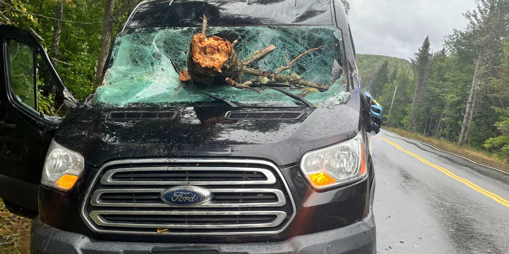 Dog leads police to truck damaged in crash on NH-VT border