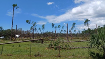 Hurricane Idalia creates staggering $64 million loss to Florida's timber industry, report shows