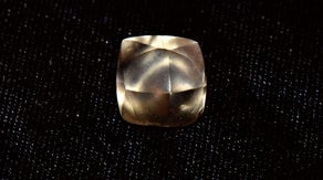 7-year-old finds 2.95-carat diamond on birthday trip to Arkansas