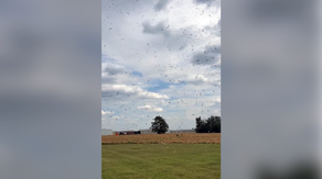 Watch: 'Corn devil' swirls through freshly harvested Kansas field