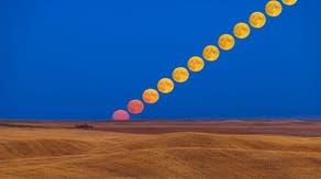 Harvest Moon: Last Supermoon of 2023 happens Friday
