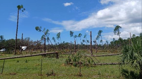 El Niño and hurricane season: What it means and how similar circumstances have played out