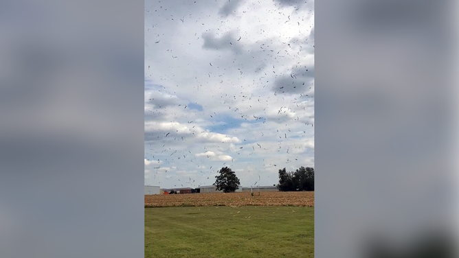 The National Weather Service in Topeka, Kansas, shared video of a corn devil in a field.
