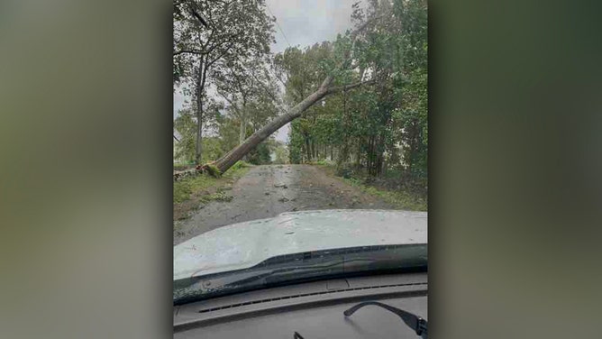 Central Maine Power said Saturday morning that they were already seeing damage from Lee with impacts picking up throughout the day.