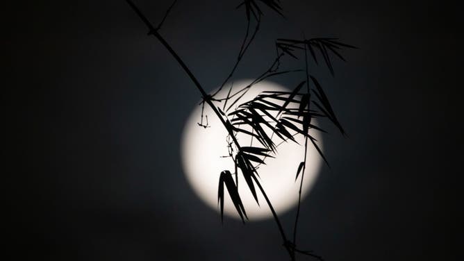 The full Harvest Moon rises over the sky in Ungaran, Central Java Province, Indonesia on September 11, 2022.