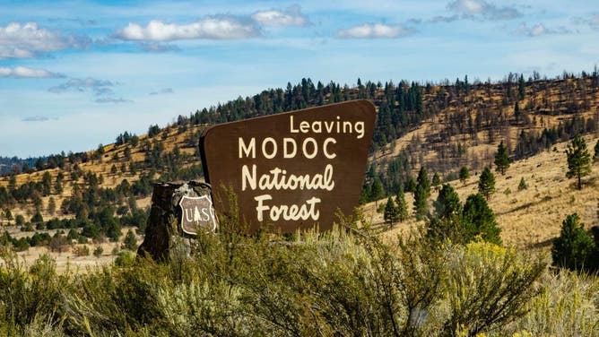 Modoc National Forest Sign in California.