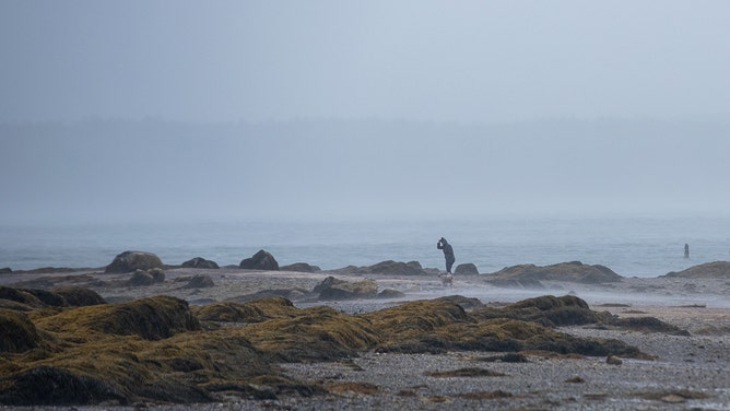 A resident walks her dog on a beach during post-tropical cyclone Lee in St. Andrews, New Brunswick, Canada, on Saturday, Sept. 16, 2023.