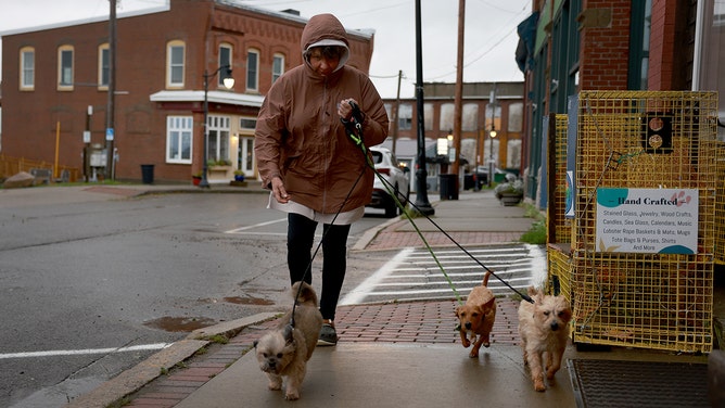 Lisa Stephen walks her dogs in the wind and rain from what was formerly Hurricane Lee and is now a post-tropical cyclone on September 16, 2023 in Eastport, Maine.