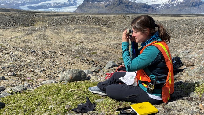 Lauren Edgar, with the USGS Astrogeology Science Center, uses a hand lens to identify minerals in a sample from a complex esker in Iceland. 