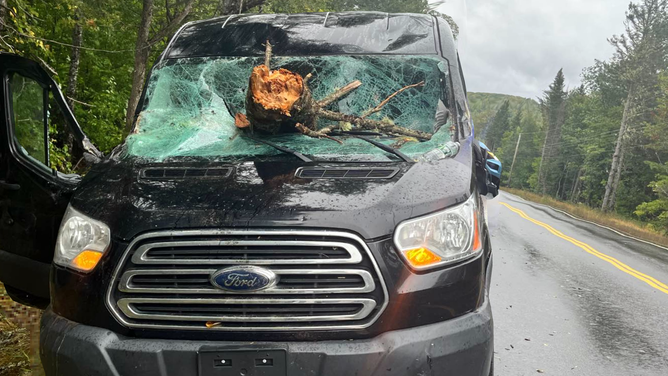 Winds from Lee brought down a large tree in Maine that crashed through the windshield of a van, narrowly missing the driver and his passengers.