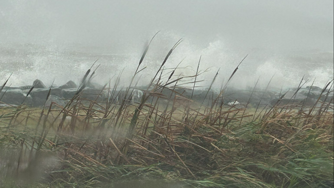 Tropical Storm Ophelia impacts