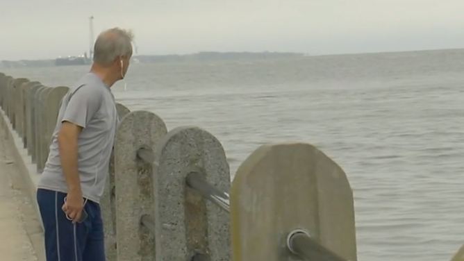 Man looks out over the Charleston battery.