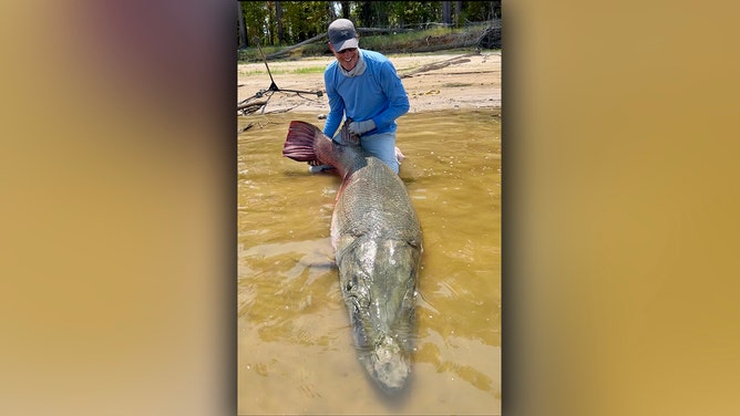 Fisherman lands 283-pound 'river monster' to beat 72-year-old angling world  record