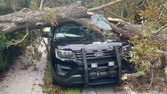A tree crushed a police cruiser in Cohasset, Massachusetts, on Sept. 16, 2023, as Hurricane Lee brought high winds to the New England coast.