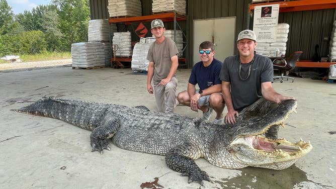 Mississippi Department of Wildlife
