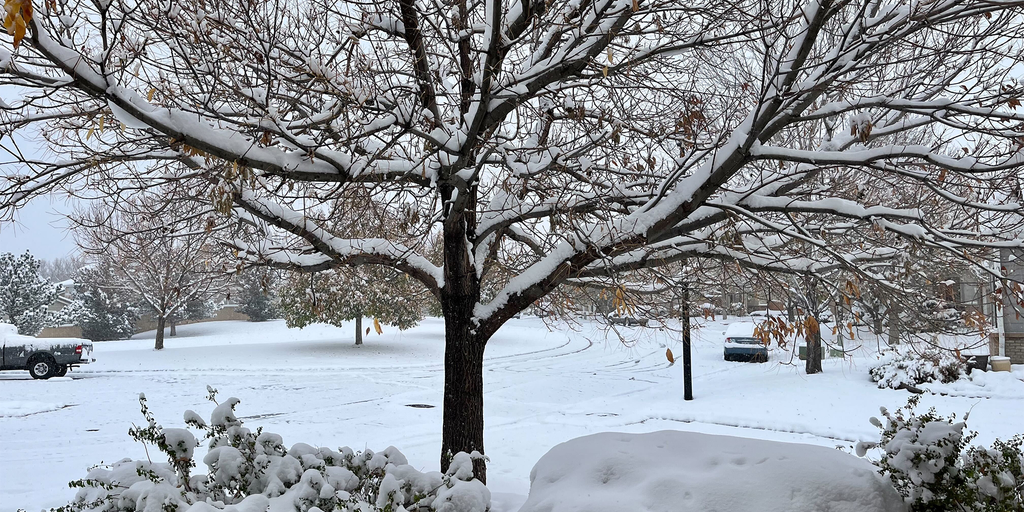 Texas Ice Storm: How Musicians Are Coping