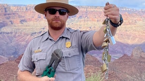 'Love locks' over Grand Canyon are harming national park's wildlife, rangers say