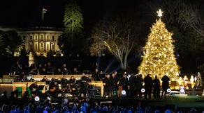 National Christmas Tree Lighting Ceremony to proceed as planned after tree was toppled by gusty winds