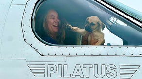 How this group of pilots is helping rescue pets displaced by disasters
