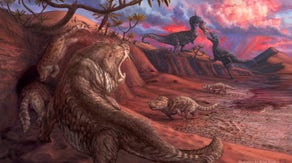 ‘Extremely rare’ Jurassic fossils discovered in southern Utah