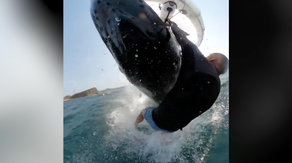 Watch: Whale knocks man off surfboard in 'one-in-a-million' incident